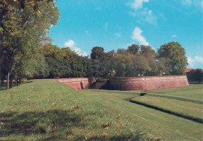die Stadtmauer von Lucca