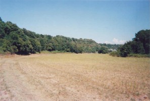 …tausend K&uuml;he beneiden mich