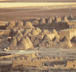 Harran